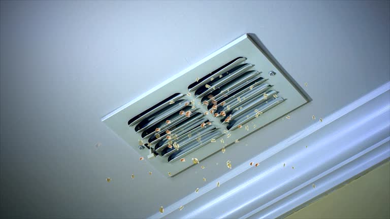 Best Emergency Air Duct Cleaning  in Palatine, IL